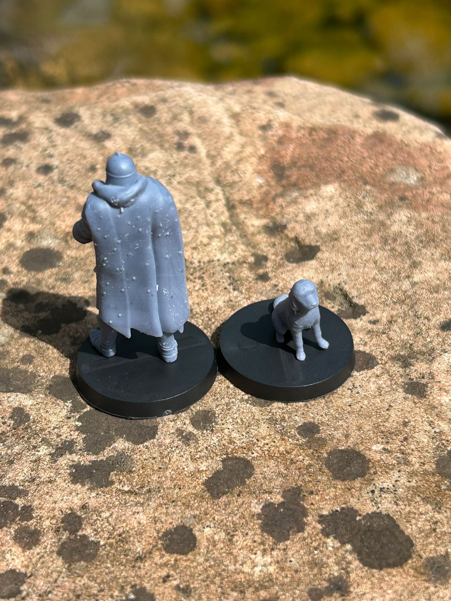 Valiant Knight and Loyal Hound Miniature Set