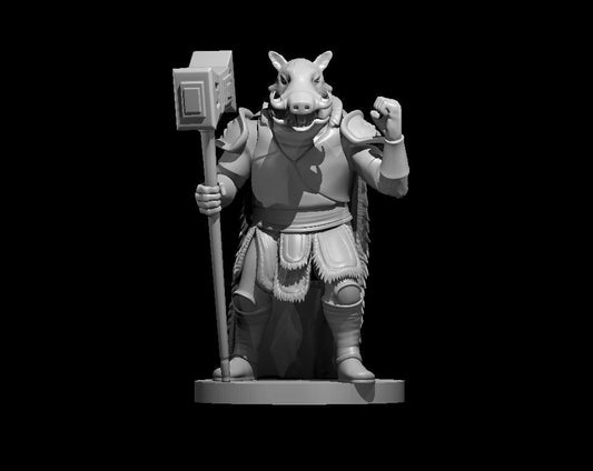 Werwildschwein DnD TTRPG