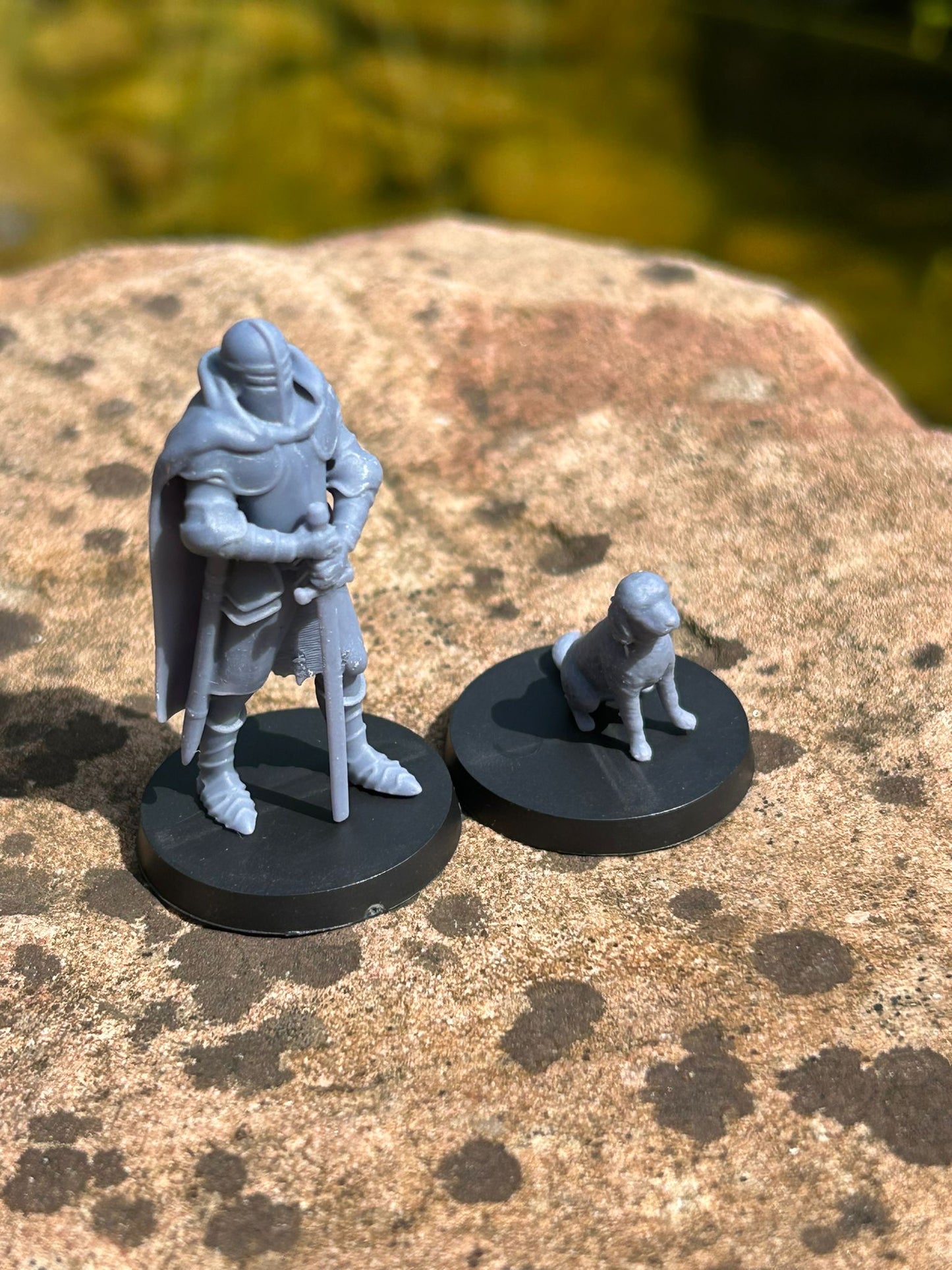 Valiant Knight and Loyal Hound Miniature Set