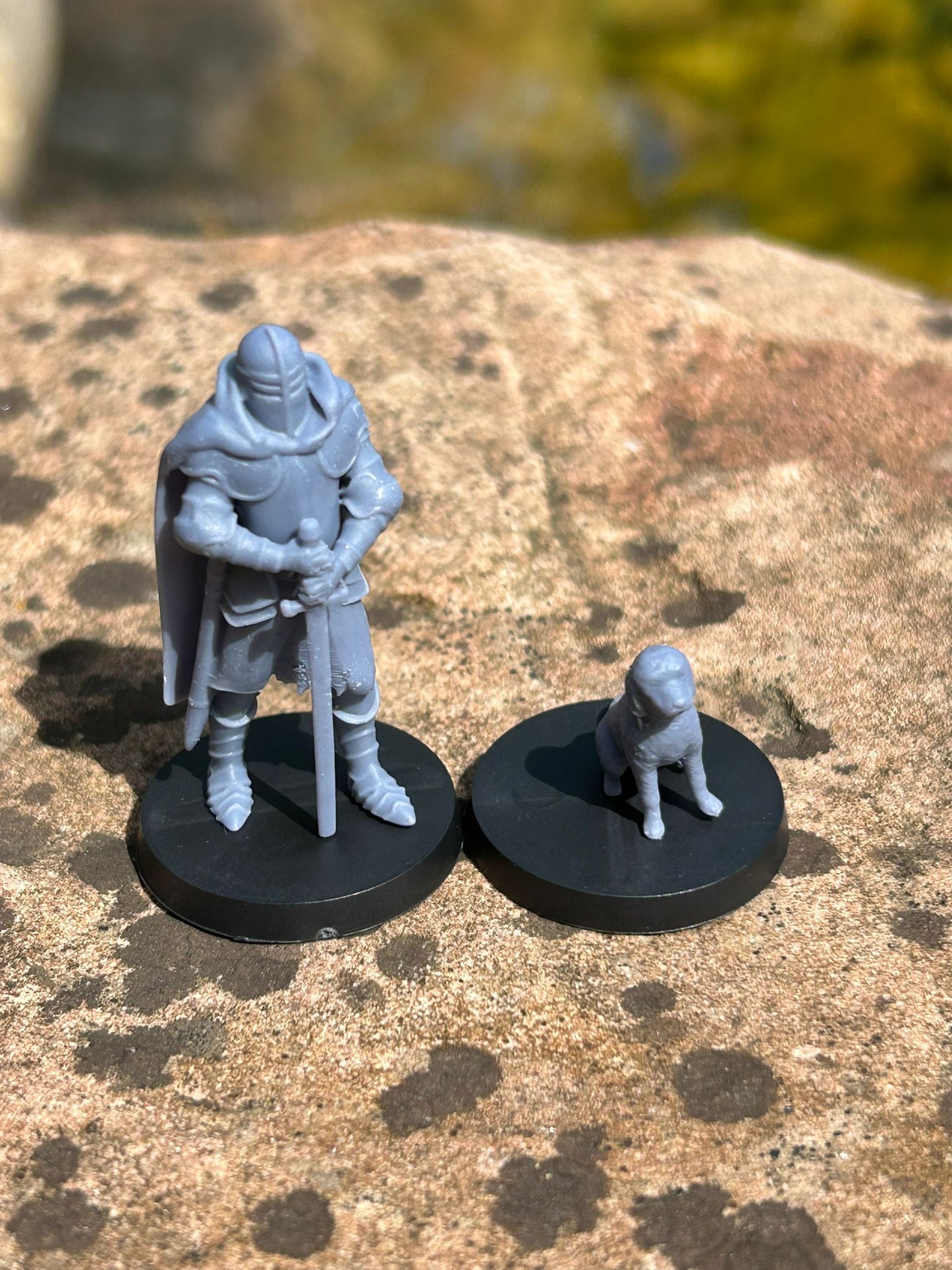 Valiant Knight and Loyal Hound Miniature Set